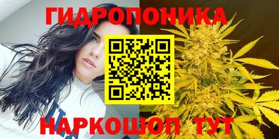 ГАЛЛЮЦИНОГЕННЫЕ ГРИБЫ Кандалакша