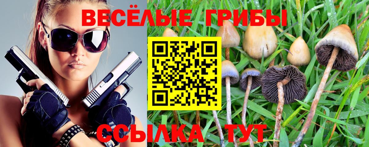 Галлюциногенные грибы прущие грибы  Вход с VPN  Ленинск-Кузнецкий 